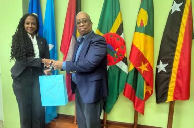 Minister Lisa Jawahir meets IICA Rep (Photo credit: IICA)