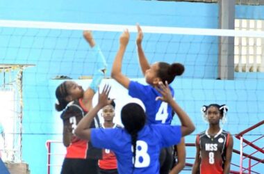 MSS takes on VPSS in an action thriller [Photo credit: MYDS]