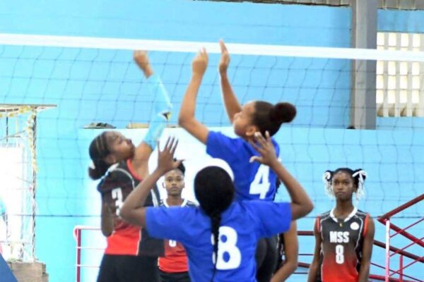 MSS takes on VPSS in an action thriller [Photo credit: MYDS]