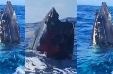 Remnants of an alleged drug boat blown up in a lethal strike by the U.S. military last week surfaced off Canouan on Saturday [Photo credit : St Vincent Times]