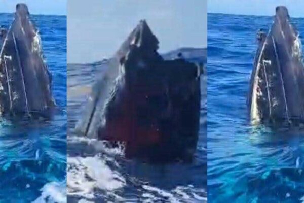 Remnants of an alleged drug boat blown up in a lethal strike by the U.S. military last week surfaced off Canouan on Saturday [Photo credit : St Vincent Times]