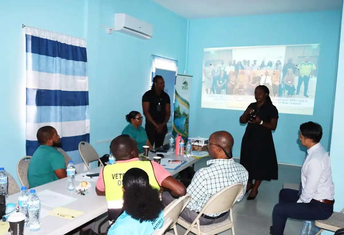 Some participants of the validation workshop discussing strategic ways to reduce greenhouse gases.