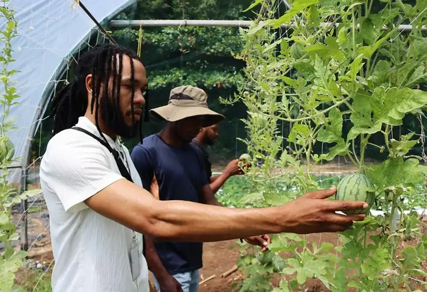 Workshop participants touring the miniball watermelon greenhouse plot.