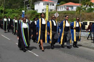 Members of legal fraternity in a ceremonial march